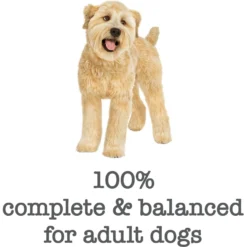 Purina Beneful Medleys Romana Style Canned Dog Food 15 Purina Beneful Medleys Romana Style Canned Dog Food -Pawsphoria Sales Store 100121 PT6. AC SS1800 V1700160563