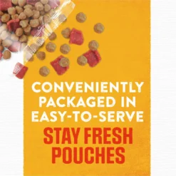 Moist & Meaty Rise & Shine Awaken Bacon & Egg Flavor Dry Dog Food -Pawsphoria Sales Store 100202 PT5. AC SS1800 V1700162268