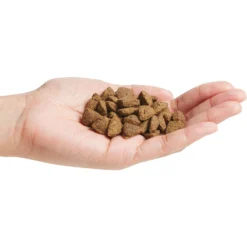 Purina Pro Plan Adult Sensitive Skin & Stomach Salmon & Rice Formula Dry Dog Food -Pawsphoria Sales Store 101143 PT2. AC SS1800 V1701881289