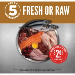 ORIJEN Puppy Grain-Free Dry Puppy Food -Pawsphoria Sales Store 101290 PT3. AC SS1800 V1684441150