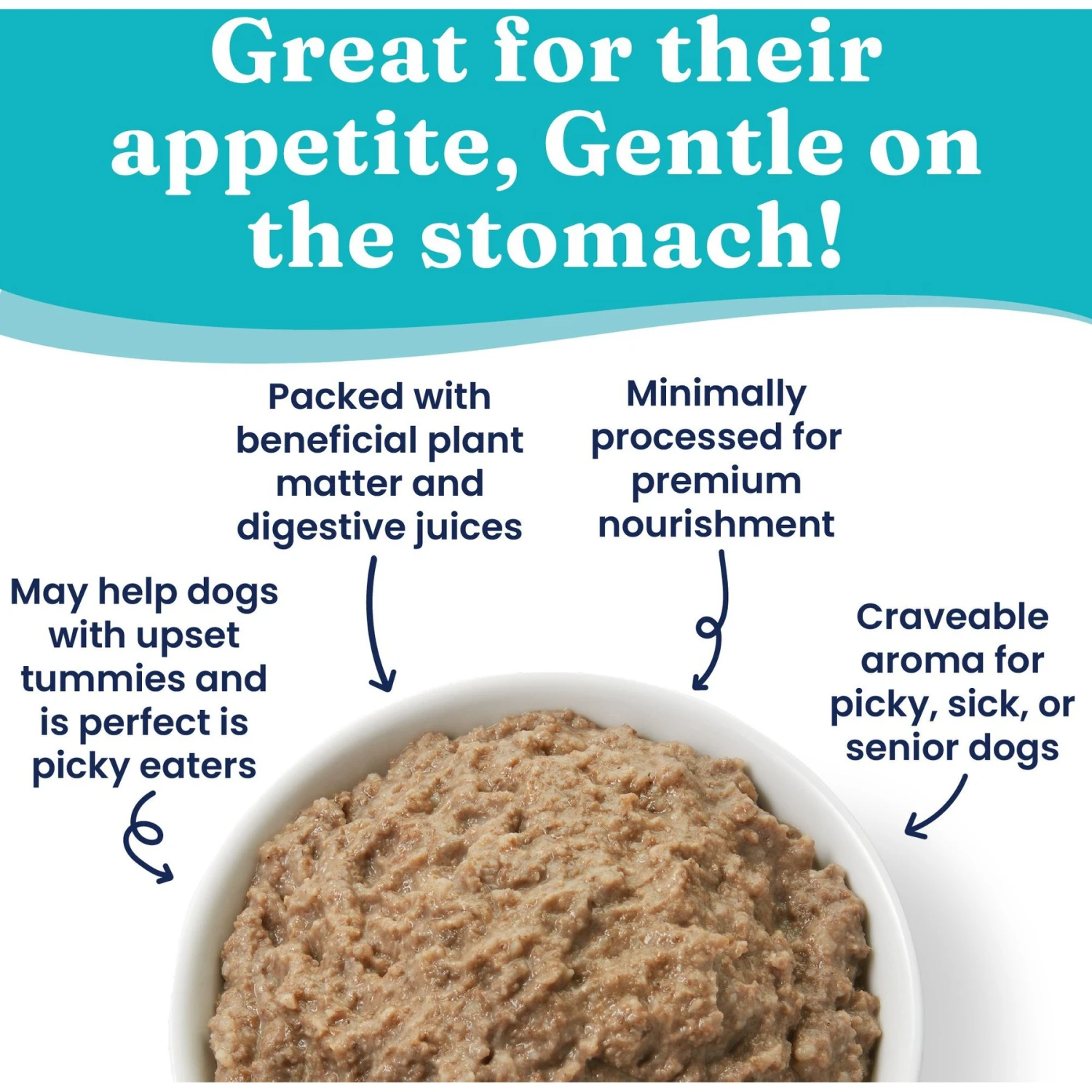 Solid Gold Green Cow Beef Tripe Loaf For Picky Eaters Grain- Free Wet Dog Food, 13.2-oz Can, Case Of 6 2 Solid Gold Green Cow Beef Tripe Loaf For Picky Eaters Grain- Free Wet Dog Food, 13.2-oz Can, Case Of 6 - Image 2