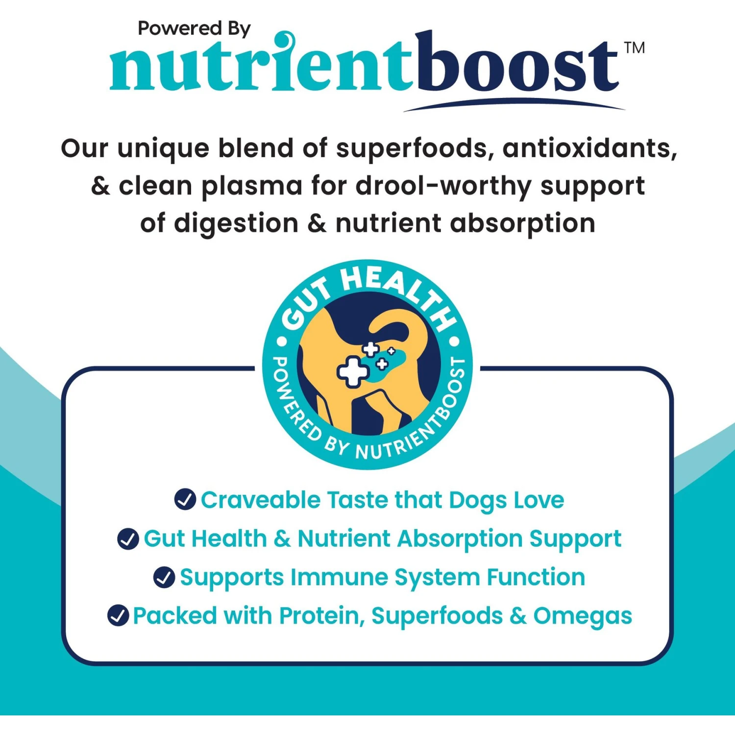 Solid Gold Green Cow Beef Tripe Loaf For Picky Eaters Grain- Free Wet Dog Food, 13.2-oz Can, Case Of 6 4 Solid Gold Green Cow Beef Tripe Loaf For Picky Eaters Grain- Free Wet Dog Food, 13.2-oz Can, Case Of 6 - Image 4