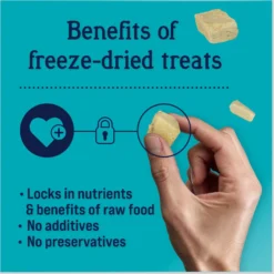 Stewart Chicken Breast Freeze-Dried Dog Treats -Pawsphoria Sales Store 105624 PT3. AC SS1800 V1691509827