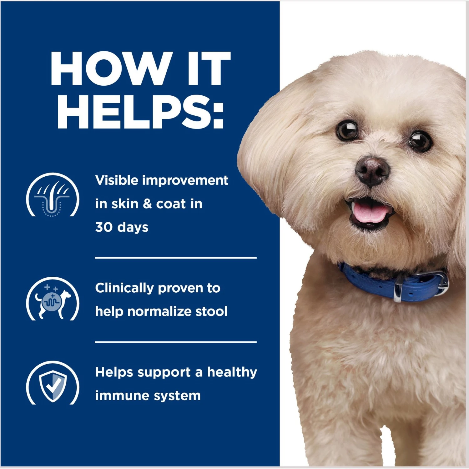 Hill's Prescription Diet Z/d Skin/Food Sensitivities Small Bites Original Flavor Dry Dog Food 4 Hill's Prescription Diet Z/d Skin/Food Sensitivities Small Bites Original Flavor Dry Dog Food - Image 4