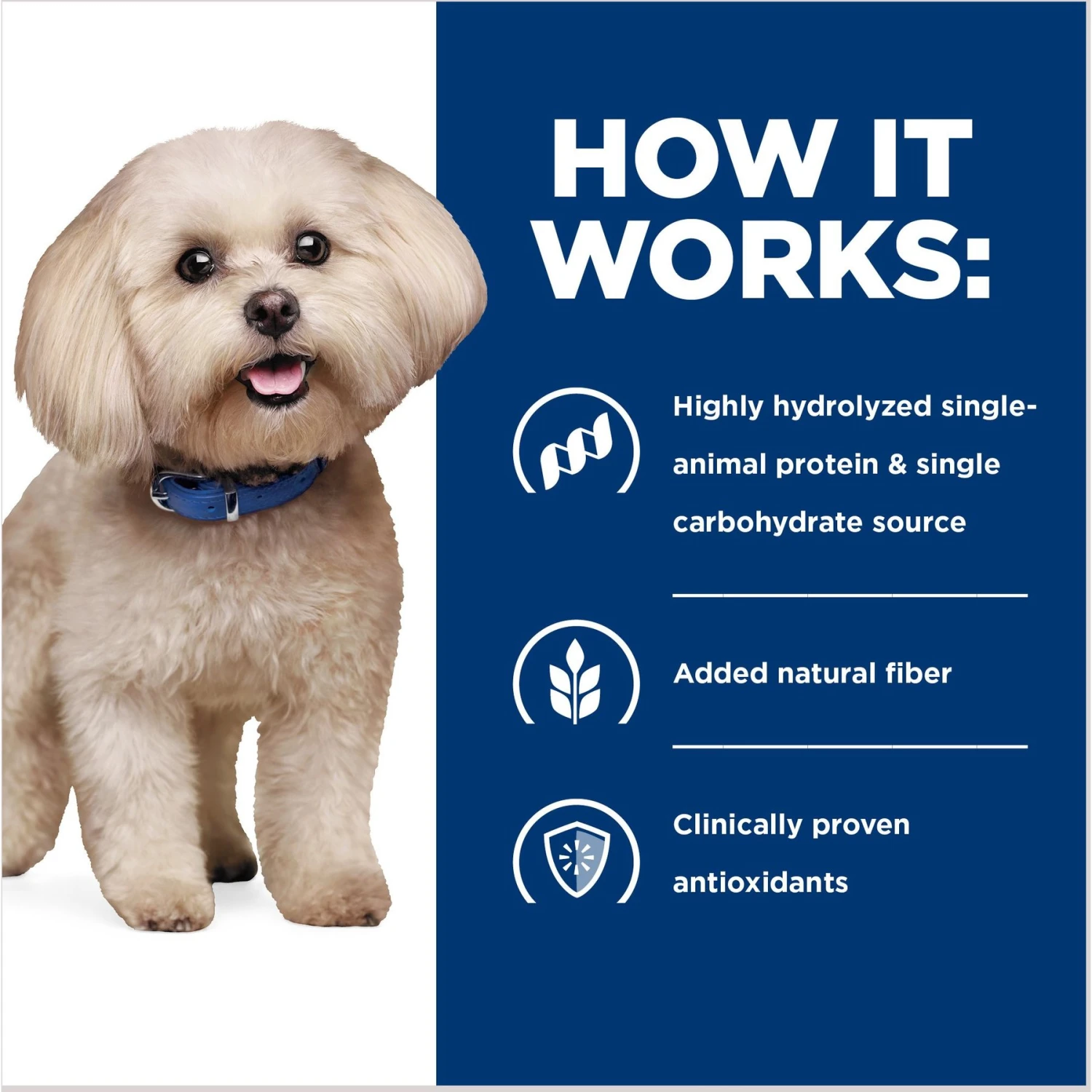 Hill's Prescription Diet Z/d Skin/Food Sensitivities Small Bites Original Flavor Dry Dog Food 5 Hill's Prescription Diet Z/d Skin/Food Sensitivities Small Bites Original Flavor Dry Dog Food - Image 5