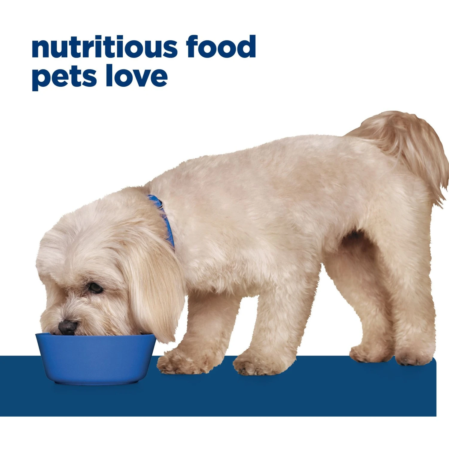 Hill's Prescription Diet Z/d Skin/Food Sensitivities Small Bites Original Flavor Dry Dog Food 7 Hill's Prescription Diet Z/d Skin/Food Sensitivities Small Bites Original Flavor Dry Dog Food - Image 7