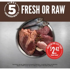 ORIJEN Regional Red Grain-Free Dry Dog Food -Pawsphoria Sales Store 106513 PT3. AC SS1800 V1685629500