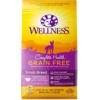 Wellness Grain-Free Complete Health Small Breed Adult Deboned Turkey, Chicken Meal & Salmon Meal Recipe Dry Dog Food