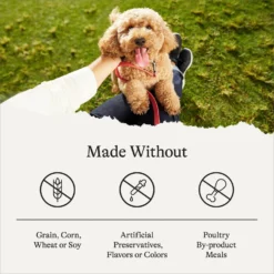 American Journey Puppy Lamb & Sweet Potato Recipe Grain-Free Dry Dog Food -Pawsphoria Sales Store 108436 PT6. AC SS1800 V1680545234