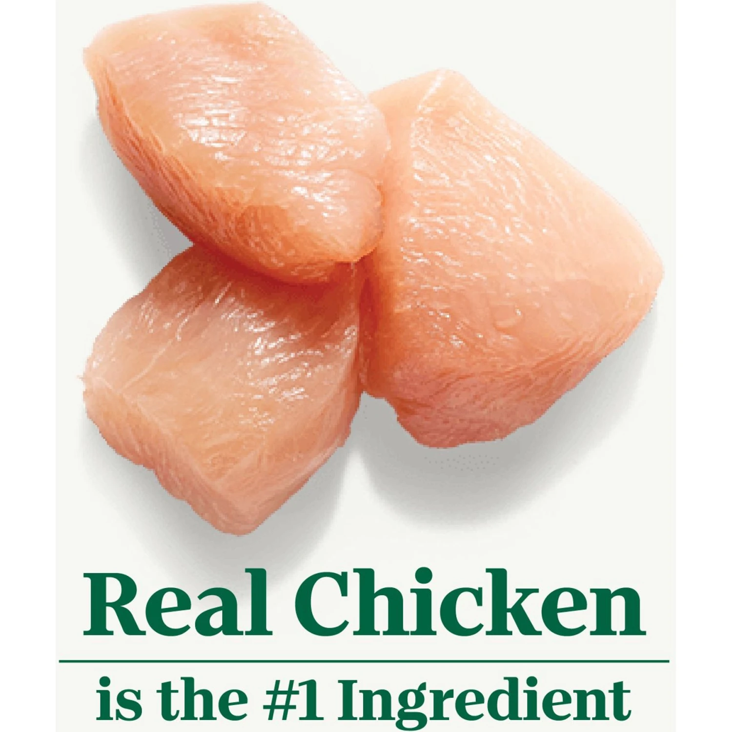 Nutro Natural Choice Small Bites Adult Chicken & Brown Rice Recipe Dry Dog Food 4 Nutro Natural Choice Small Bites Adult Chicken & Brown Rice Recipe Dry Dog Food - Image 4