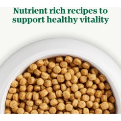 Nutro Natural Choice Small Bites Adult Chicken & Brown Rice Recipe Dry Dog Food 17 Nutro Natural Choice Small Bites Adult Chicken & Brown Rice Recipe Dry Dog Food -Pawsphoria Sales Store 109418 PT8. AC SS1800 V1691418446