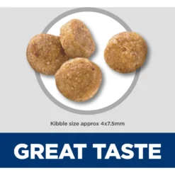 Hill's Science Diet Adult 7+ Senior Vitality Small & Mini Chicken & Rice Recipe Dry Dog Food 12 Hill's Science Diet Adult 7+ Senior Vitality Small & Mini Chicken & Rice Recipe Dry Dog Food -Pawsphoria Sales Store 109455 PT3. AC SS1800 V1693497929