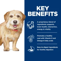 Hill's Science Diet Adult 7+ Senior Vitality Small & Mini Chicken & Rice Recipe Dry Dog Food 14 Hill's Science Diet Adult 7+ Senior Vitality Small & Mini Chicken & Rice Recipe Dry Dog Food -Pawsphoria Sales Store 109455 PT5. AC SS1800 V1693497983