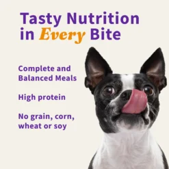 Halo Meal Bites Beef Recipe Raw Freeze-Dried Dog Food -Pawsphoria Sales Store 110163 PT5. AC SS1800 V1657655132