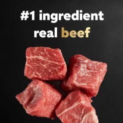 Cesar Filet Mignon Flavor & Spring Vegetables Garnish Small Breed Dry Dog Food -Pawsphoria Sales Store 110524 PT4. AC SS1800 V1695752337