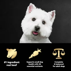 Cesar Filet Mignon Flavor & Spring Vegetables Garnish Small Breed Dry Dog Food -Pawsphoria Sales Store 110524 PT8. AC SS1800 V1695674569