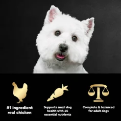 Cesar Rotisserie Chicken Flavor & Spring Vegetables Garnish Small Breed Dry Dog Food 17 Cesar Rotisserie Chicken Flavor & Spring Vegetables Garnish Small Breed Dry Dog Food -Pawsphoria Sales Store 110528 PT8. AC SS1800 V1695674515