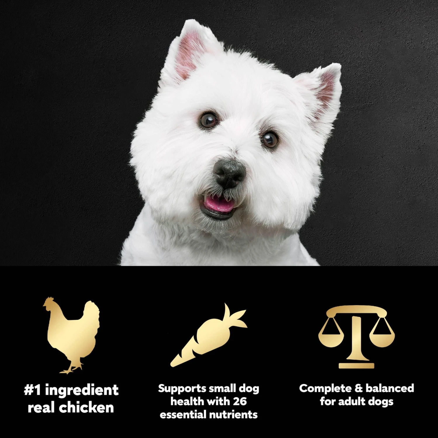 Cesar Rotisserie Chicken Flavor & Spring Vegetables Garnish Small Breed Dry Dog Food 9 Cesar Rotisserie Chicken Flavor & Spring Vegetables Garnish Small Breed Dry Dog Food - Image 9