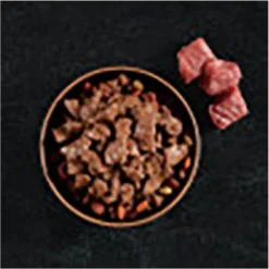 Cesar Filets In Gravy Beef Flavors Variety Pack Small Breed Adult Wet Dog Food -Pawsphoria Sales Store 110539 PT3. AC SS1800 V1695674693