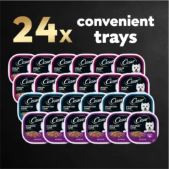 Cesar Filets In Gravy Beef Flavors Variety Pack Small Breed Adult Wet Dog Food -Pawsphoria Sales Store 110539 PT7. AC SS1800 V1695746024