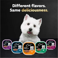 Cesar Filets In Gravy Beef Flavors Variety Pack Small Breed Adult Wet Dog Food -Pawsphoria Sales Store 110539 PT8. AC SS1800 V1695674572