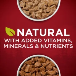 Purina ONE SmartBlend True Instinct Tender Cuts In Gravy Variety Pack Canned Dog Food -Pawsphoria Sales Store 111092 PT2. AC SS1800 V1671735752