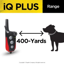 Dogtra IQ Plus Dog Training Collar -Pawsphoria Sales Store 113206 PT3. AC SS1800 V1682700070