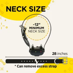 Dogtra IQ Plus Dog Training Collar -Pawsphoria Sales Store 113206 PT5. AC SS1800 V1682709800