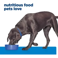 Hill's Prescription Diet D/d Skin/Food Sensitivities Potato & Venison Dry Dog Food -Pawsphoria Sales Store 113451 PT6. AC SS1800 V1668616134