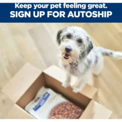 Hill's Prescription Diet D/d Skin/Food Sensitivities Potato & Venison Dry Dog Food -Pawsphoria Sales Store 113451 PT8. AC SS1800 V1668616083