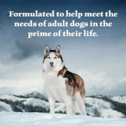Blue Buffalo Wilderness Snake River Grill Trout, Venison & Rabbit Formula Grain-Free Canned Dog Food 8 Blue Buffalo Wilderness Snake River Grill Trout, Venison & Rabbit Formula Grain-Free Canned Dog Food -Pawsphoria Sales Store 114219 PT3. AC SS1800 V1585085845