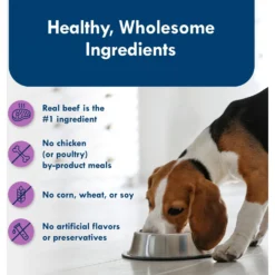 Blue Buffalo Divine Delights Top Sirloin Flavor Pate Dog Food Trays -Pawsphoria Sales Store 114282 PT5. AC SS1800 V1642635410