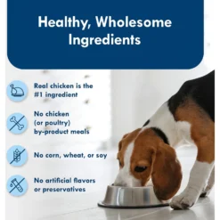 Blue Buffalo Divine Delights Roasted Chicken Flavor Hearty Gravy Dog Food Trays 14 Blue Buffalo Divine Delights Roasted Chicken Flavor Hearty Gravy Dog Food Trays -Pawsphoria Sales Store 114293 PT5. AC SS1800 V1642635144