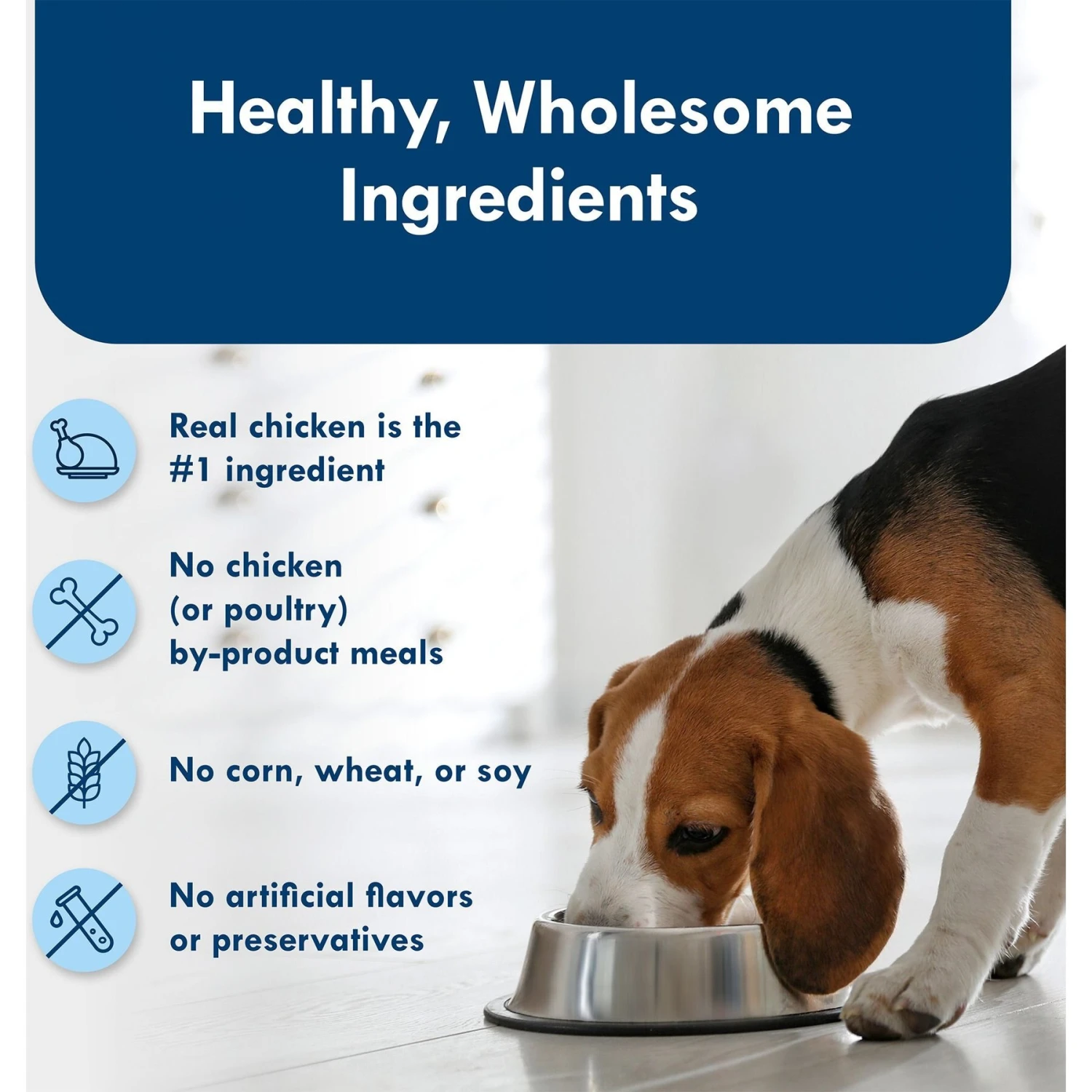 Blue Buffalo Divine Delights Roasted Chicken Flavor Hearty Gravy Dog Food Trays 6 Blue Buffalo Divine Delights Roasted Chicken Flavor Hearty Gravy Dog Food Trays - Image 6