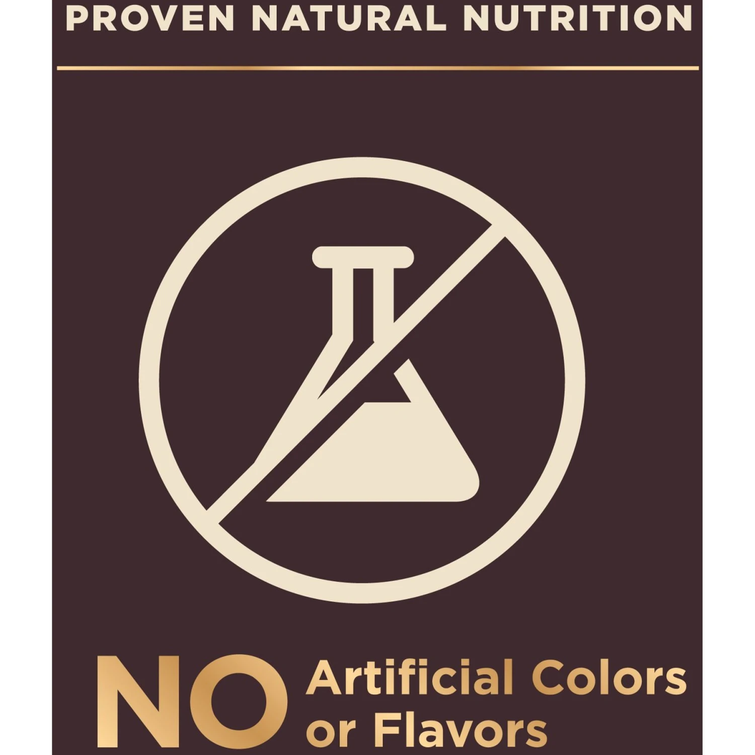 Wellness CORE RawRev Grain-Free Original Recipe With Freeze-Dried Turkey Dry Dog Food 7 Wellness CORE RawRev Grain-Free Original Recipe With Freeze-Dried Turkey Dry Dog Food - Image 7