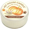 Pet House Pumpkin Spice Natural Plant-Based Mini Candle