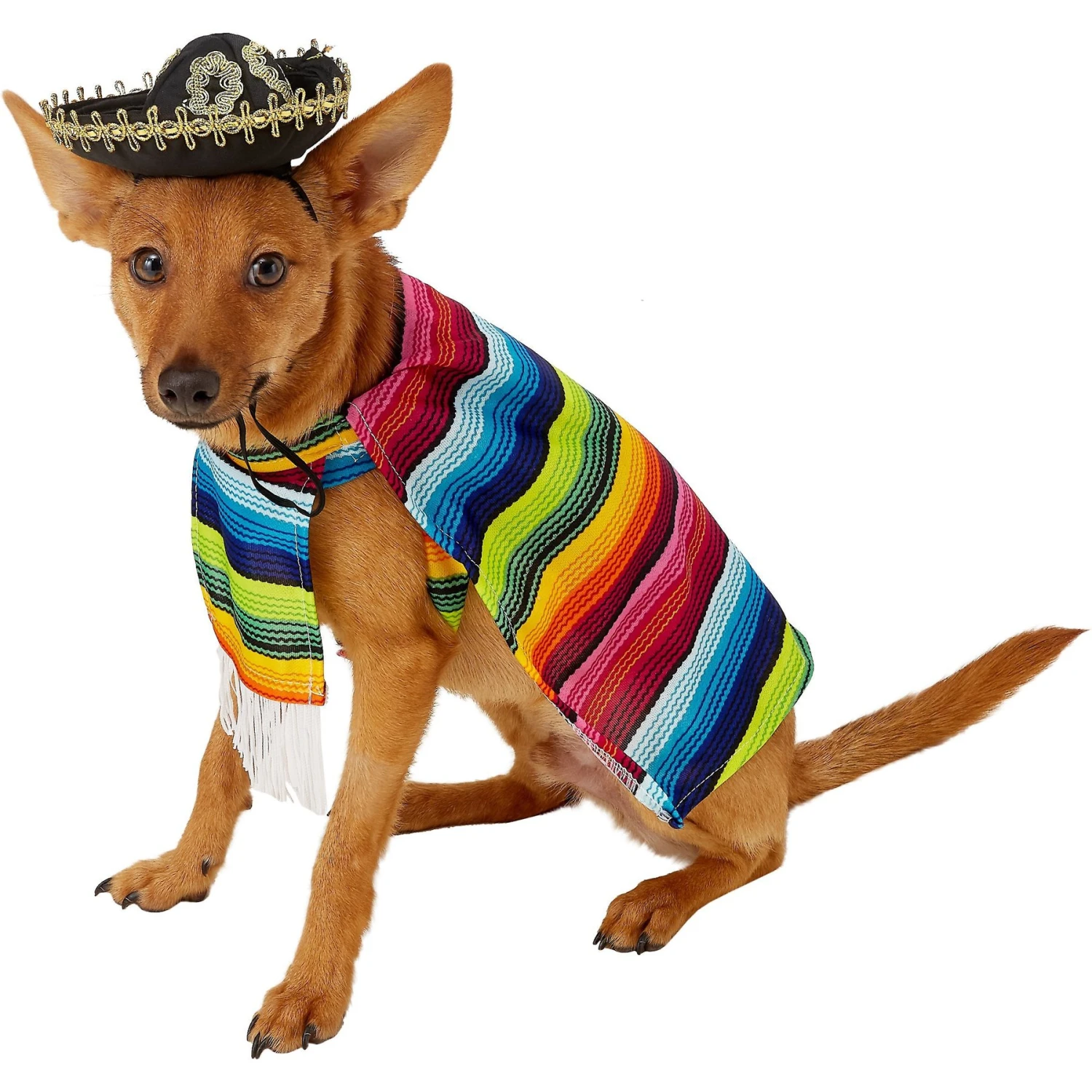 Rubie's Costume Company Serape Dog & Cat Costume 1 Rubie's Costume Company Serape Dog & Cat Costume