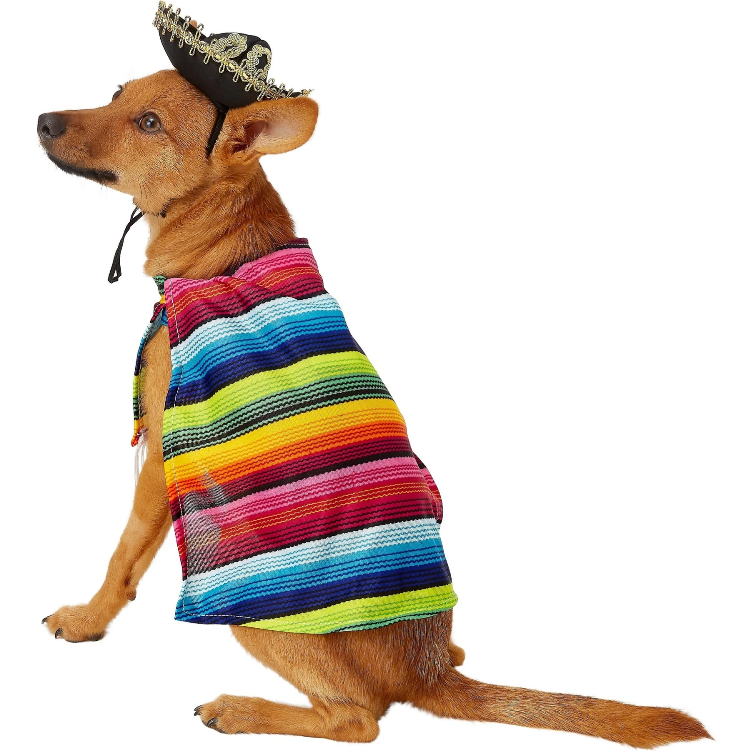 Rubie's Costume Company Serape Dog & Cat Costume 6 Rubie's Costume Company Serape Dog & Cat Costume - Image 6