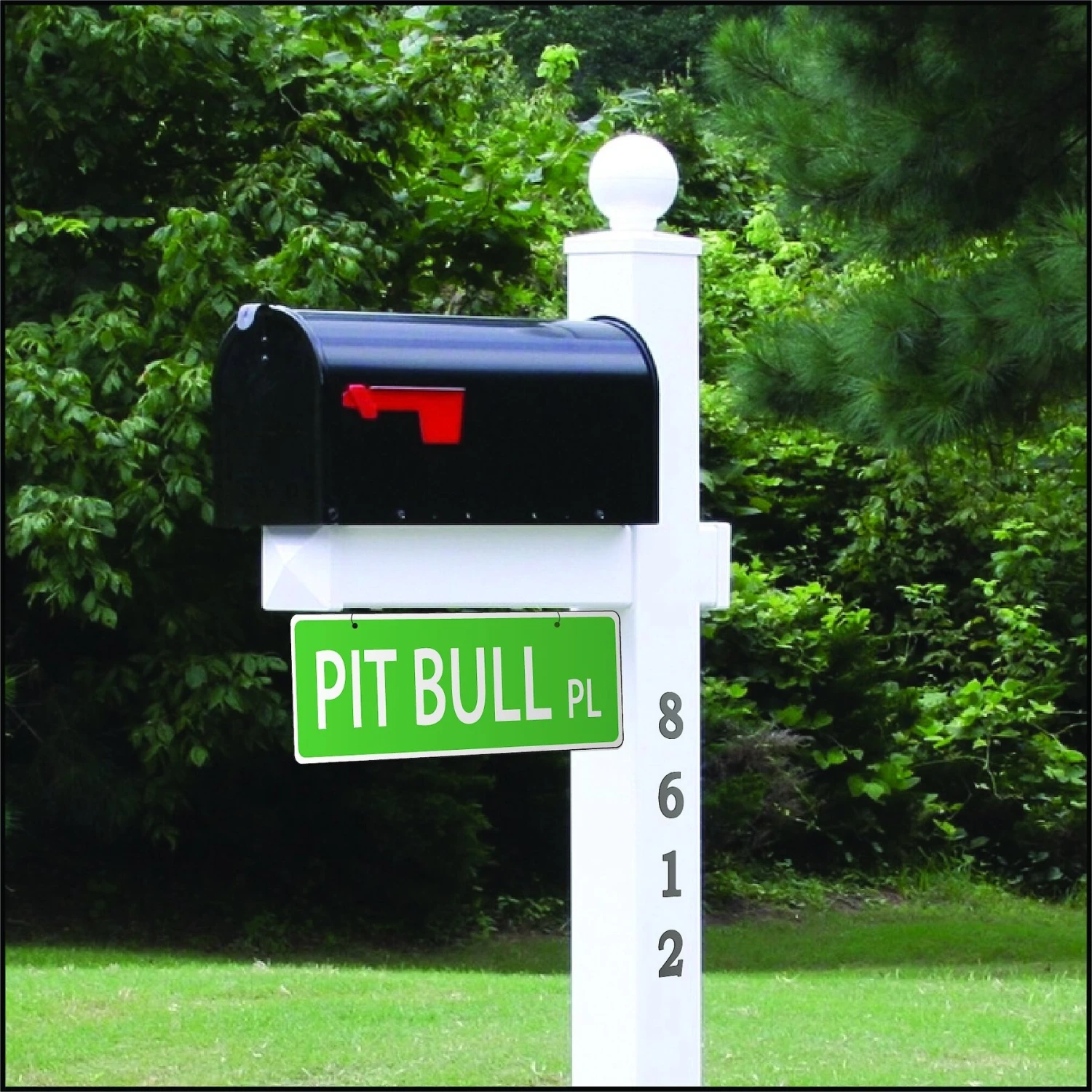 Imagine This Company Dog Breed Street Sign 3 Imagine This Company Dog Breed Street Sign - Image 3