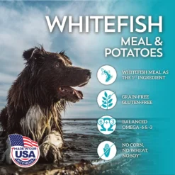 Wholesomes Grain-Free Whitefish Meal & Potatoes Formula Dry Dog Food, 35-lb Bag 11 Wholesomes Grain-Free Whitefish Meal & Potatoes Formula Dry Dog Food, 35-lb Bag -Pawsphoria Sales Store 119454 PT3. AC SS1800 V1626366682