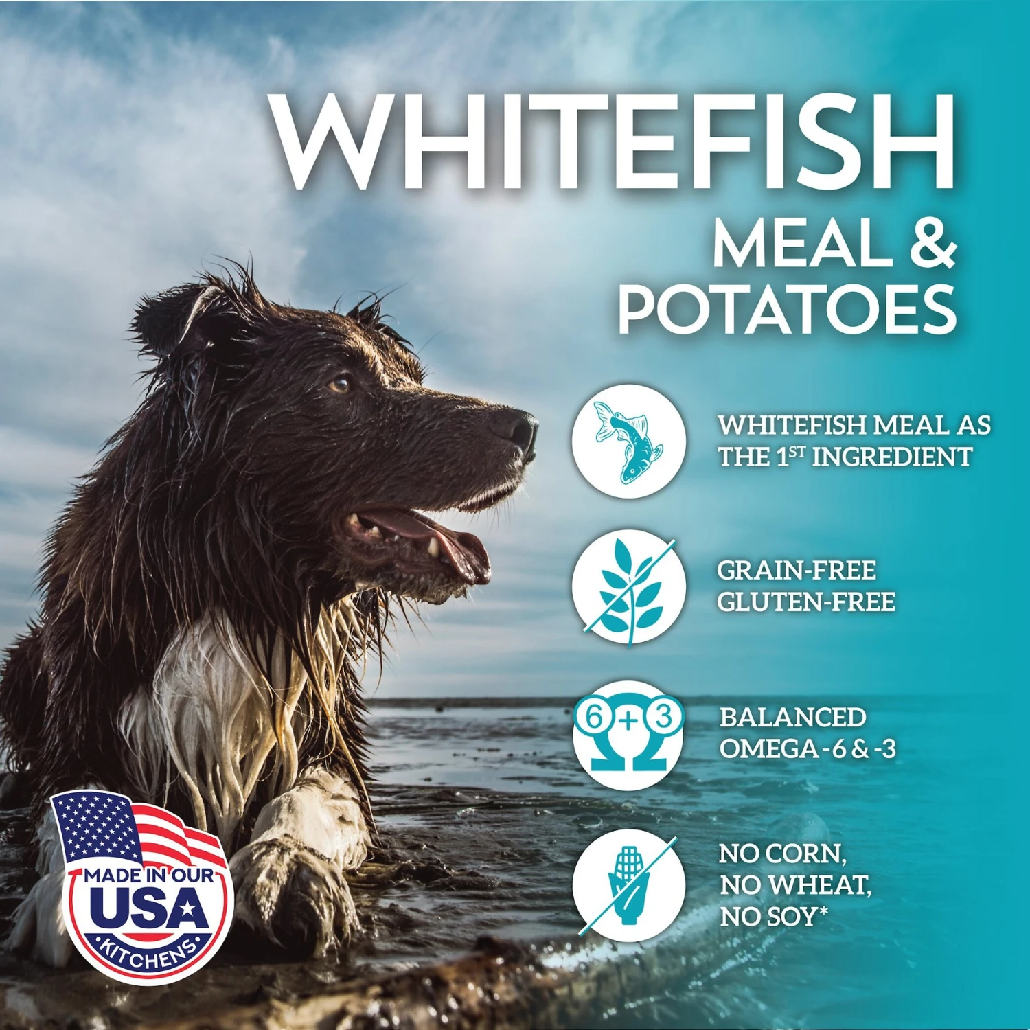 Wholesomes Grain-Free Whitefish Meal & Potatoes Formula Dry Dog Food, 35-lb Bag 4 Wholesomes Grain-Free Whitefish Meal & Potatoes Formula Dry Dog Food, 35-lb Bag - Image 4