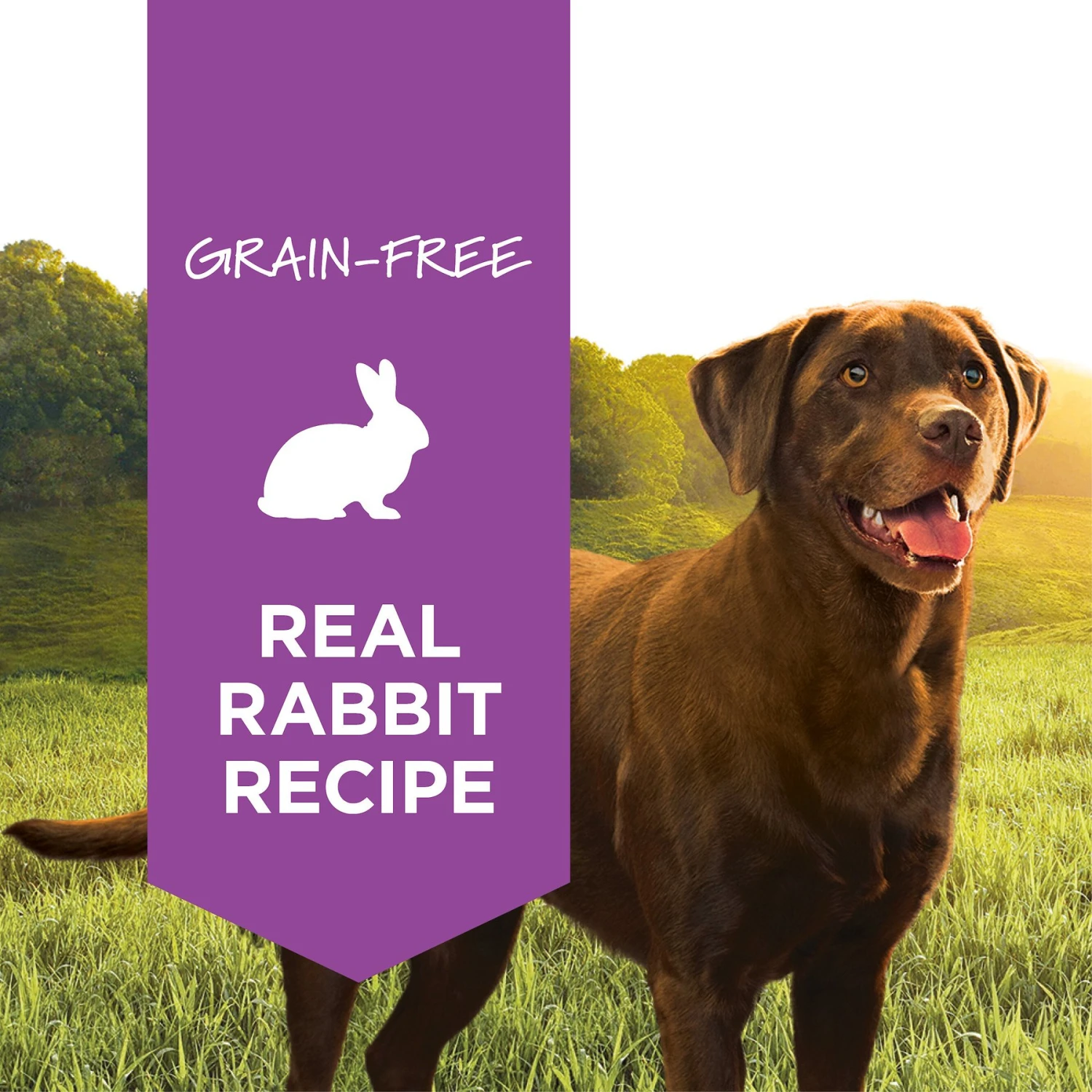 Instinct Original Grain-Free Real Rabbit Recipe Natural Wet Canned Dog Food 2 Instinct Original Grain-Free Real Rabbit Recipe Natural Wet Canned Dog Food - Image 2