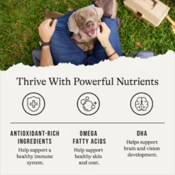 American Journey Limited Ingredient Turkey & Sweet Potato Recipe Grain-Free Dry Dog Food -Pawsphoria Sales Store 121242 PT4. AC SS1800 V1665439310