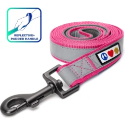 Pawtitas Nylon Reflective Padded Dog Leash