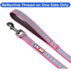 Pawtitas Nylon Reflective Padded Dog Leash -Pawsphoria Sales Store 121969 PT2. AC SS1800 V1681492215