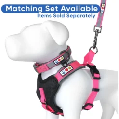 Pawtitas Nylon Reflective Padded Dog Leash -Pawsphoria Sales Store 121969 PT5. AC SS1800 V1681492214