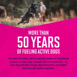 Eukanuba Puppy Mixed Grill Chicken & Beef Dinner In Gravy Canned Dog Food -Pawsphoria Sales Store 121990 PT5. AC SS1800 V1696449944