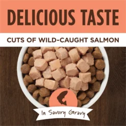 Instinct Healthy Cravings Grain-Free Cuts & Gravy Real Salmon Recipe Wet Dog Food Topper -Pawsphoria Sales Store 122333 PT2. AC SS1800 V1701880993