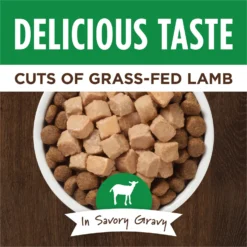 Instinct Healthy Cravings Grain-Free Cuts & Gravy Real Lamb Recipe Wet Dog Food Topper 10 Instinct Healthy Cravings Grain-Free Cuts & Gravy Real Lamb Recipe Wet Dog Food Topper -Pawsphoria Sales Store 122335 PT2. AC SS1800 V1701881109