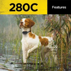 Dogtra 280C Dog Training Collar System 13 Dogtra 280C Dog Training Collar System -Pawsphoria Sales Store 123882 PT4. AC SS1800 V1680274794